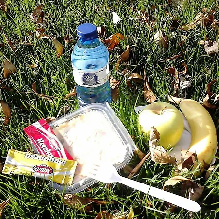 旅馆 阿尔伯格罗克斯布兰科斯旅舍 里贝斯的弗里瑟